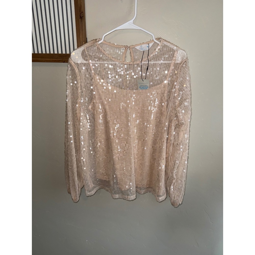 Primark Blush Sequin Sheer Long-Sleeve Top